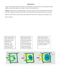 Turgor Pressure Turgor is a force exerted outward on a plant cell