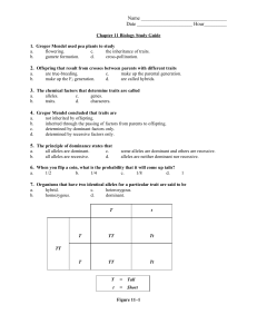 Chapter 11 Biology Study Guide