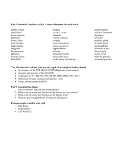 Unit 3 Essential Vocabulary File - District 196 e