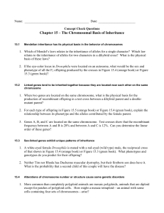 Concept Check Questions