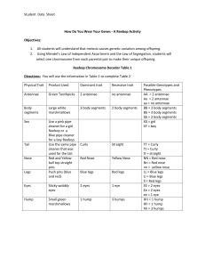 Reebop student data sheet