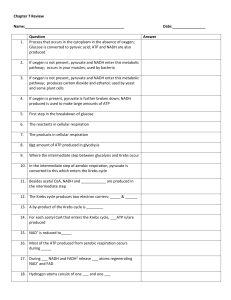 Chapter 7 Review Name: Date: Question Answer Process that