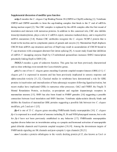 Supplemental discussion of modifier gene function