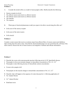 Homework - Stethographics, Inc.