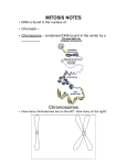 Mitosis Notes