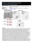 x - Center for Eukaryotic Structural Genomics