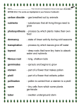 Plant Adaptations Study Guide