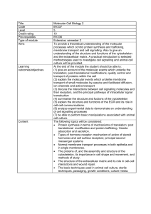 Module description template