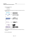 AP Biology - TeacherWeb