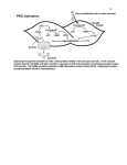 Endocrinology 3