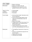 PP-Active Transport Notes