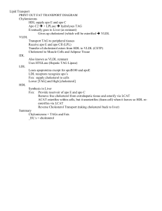 Lipids 3, COX/LOX, Membrane, Signal