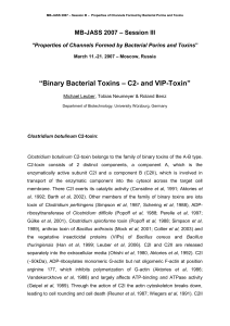 MB-JASS 2007 – Session III – Properties of Channels Formed by