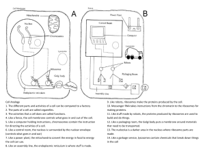 Cell Analogy Paper