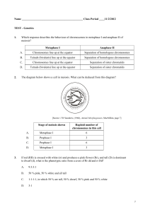 TEST genetics MC 2012