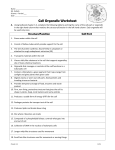 cell organelle WS 2014