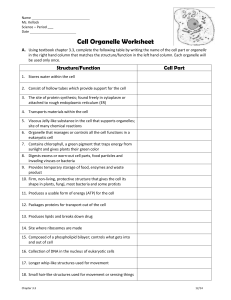 cell organelle WS 2014