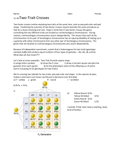 Two Trait Crosses