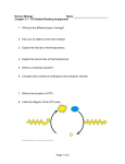 5echap5_1guidedreading