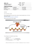 October 3, 2016 Worksheet