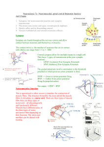 Neuroscience 7a – Neuromuscular, spinal cord