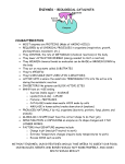 ENZYMES – BIOLOGICAL CATALYSTS