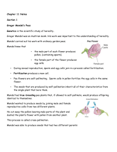 Chapter 11 Notes Section 1 Gregor Mendel`s Peas Genetics is the