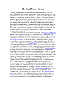 The Dural Venous Sinuses