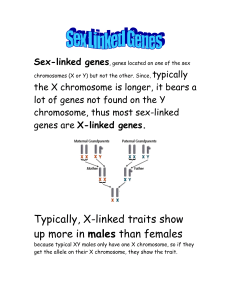 Sex-linked genes, genes located on one of the sex chromosomes (X