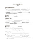 Theory of Plate Tectonics