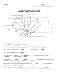 Plant Reproduction