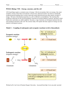 POGIL Biology I – Introduction to life on earth