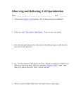 Observing and Reflecting: Cell Specialization Name: Hour: ______