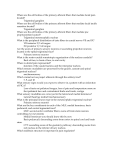 Where are the cell bodies of the primary afferent fibers that mediate