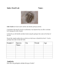 Printable Geologic Time Scale