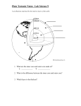 Plate Tectonic Notes: Lab Science 9
