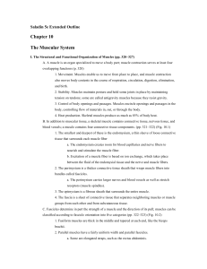 Saladin 5e Extended Outline