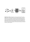 Figure 2 Representation of the steps required for DNA sequence