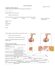 Session 20 Worksheet