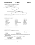 Final Exam Study Guide Ms. Thomas Spring 2011