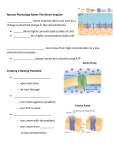 Neuron Physiology Notes