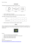 Cell Division Homework