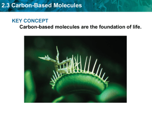 2.3 Carbon-Based Molecules