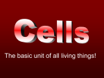 Cells