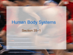 Human Body Systems