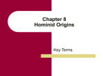 Chapter 8 Hominid Origins