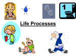 Life Processes