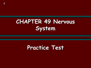 Ch 49 Pract Test Nervous System