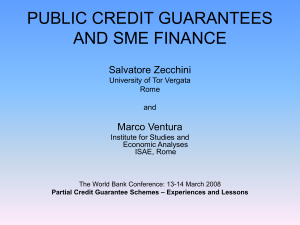 public credit guarantees and sme finance