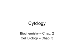 Cytology